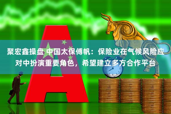 聚宏鑫操盘 中国太保傅帆：保险业在气候风险应对中扮演重要角色，希望建立多方合作平台