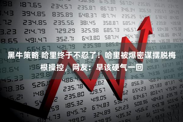 黑牛策略 哈里终于不忍了！哈里被爆密谋摆脱梅根操控，网友：早该硬气一回