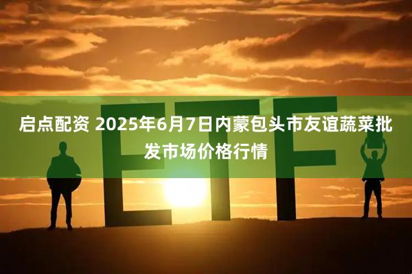 启点配资 2025年6月7日内蒙包头市友谊蔬菜批发市场价格行情