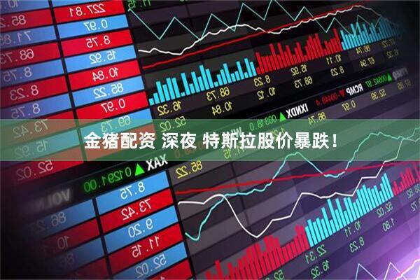 金猪配资 深夜 特斯拉股价暴跌！