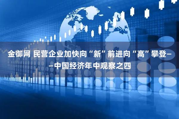 金御网 民营企业加快向“新”前进向“高”攀登——中国经济年中观察之四