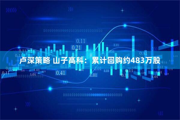 卢深策略 山子高科：累计回购约483万股