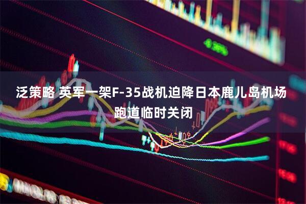泛策略 英军一架F-35战机迫降日本鹿儿岛机场 跑道临时关闭