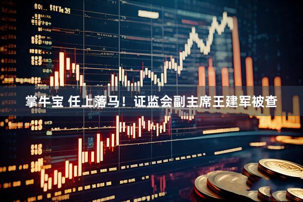 掌牛宝 任上落马！证监会副主席王建军被查