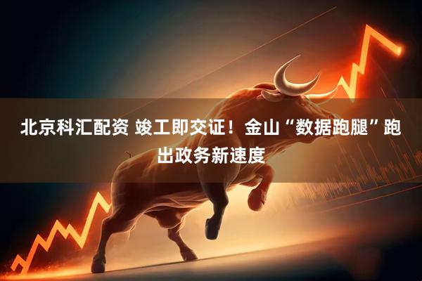 北京科汇配资 竣工即交证！金山“数据跑腿”跑出政务新速度
