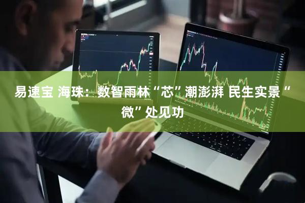 易速宝 海珠:数智雨林“芯”潮澎湃 民生实景“微”处见功